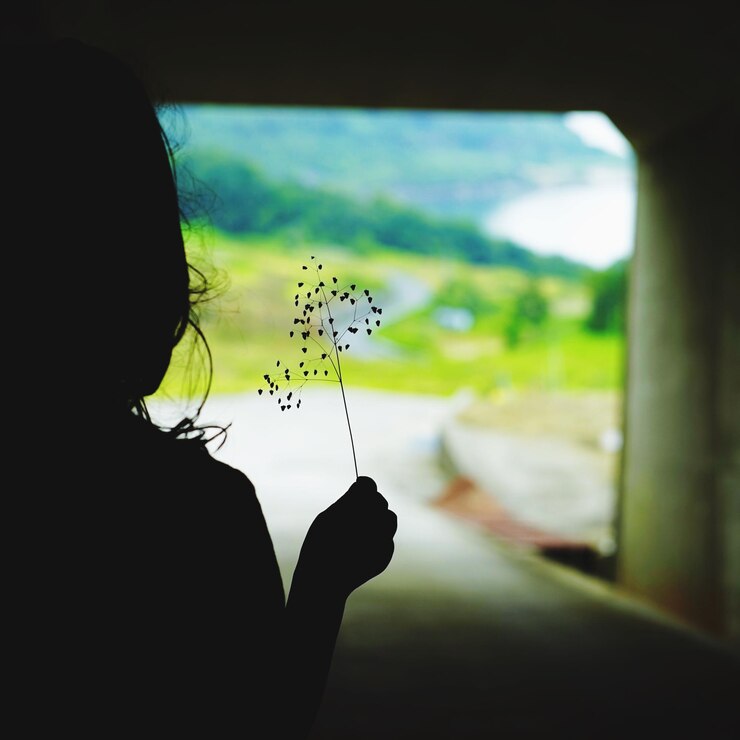 rear-view-silhouette-girl-holding-plant_1048944-13236374 rear-view-silhouette-girl-holding-plant_1048944-13236374